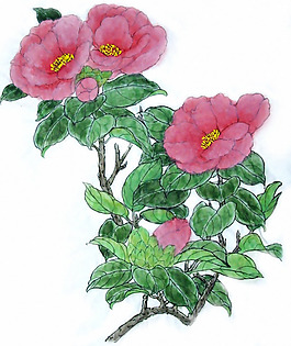 位圖 植物 花卉 優(yōu)雅植物 藝術(shù)效果 免費素材