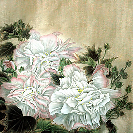 位圖 植物 花卉 優(yōu)雅植物 藝術(shù)效果 免費素材