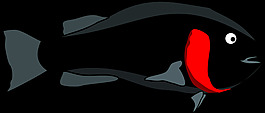 魚(yú)
