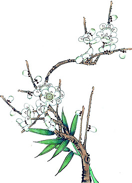 位圖 植物 花卉 優(yōu)雅植物 藝術(shù)效果 免費素材