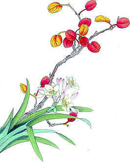 位圖 植物 花卉 優(yōu)雅植物 藝術(shù)效果 免費(fèi)素材