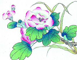 位圖 植物 花卉 優(yōu)雅植物 藝術(shù)效果 免費素材