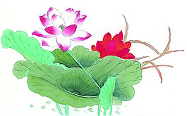 位圖 植物 花卉 優(yōu)雅植物 藝術(shù)效果 免費(fèi)素材
