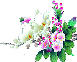 位圖 植物 花卉 優(yōu)雅植物 藝術(shù)效果 免費素材
