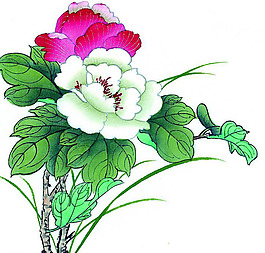 位圖 植物 花卉 優(yōu)雅植物 藝術(shù)效果 免費(fèi)素材