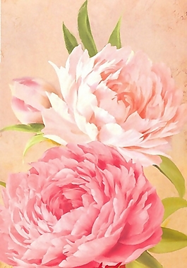 位圖 植物 花卉 藝術(shù)效果 油畫 免費(fèi)素材