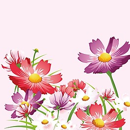印花矢量圖 時(shí)尚休閑女裝 成熟優(yōu)雅女裝 植物 花卉 免費(fèi)素材