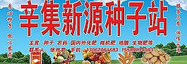 種子站圖片