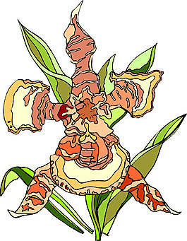 位圖 植物 優(yōu)雅植物 花卉 時尚休閑女裝 免費素材