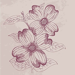 印花矢量圖 時(shí)尚休閑女裝 成熟優(yōu)雅女裝 植物 花卉 免費(fèi)素材