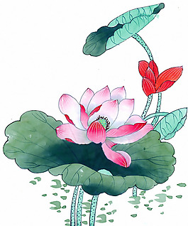 位圖 植物 優(yōu)雅植物 荷花 時尚休閑女裝 免費素材
