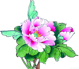 位圖 植物 優(yōu)雅植物 花卉 時尚休閑女裝 免費素材