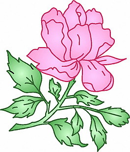 位圖 植物 優(yōu)雅植物 花卉 時尚休閑女裝 免費素材