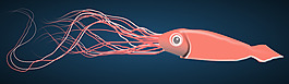 魷魚(yú)