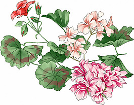 位圖 時尚休閑女裝 成熟優(yōu)雅女裝 植物 花卉 免費素材