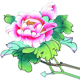 印花非矢量 植物 花卉 優(yōu)雅植物 藝術效果 免費素材