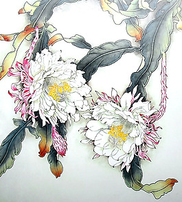 印花非矢量 植物 花卉 曇花 優(yōu)雅植物 免費素材