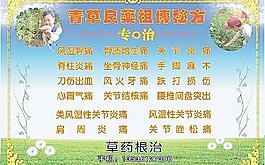 草藥圖片