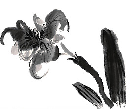 位圖 植物 花卉 優(yōu)雅植物 藝術(shù)效果 免費(fèi)素材
