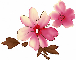 位圖 時(shí)尚休閑女裝 成熟優(yōu)雅女裝 植物 花卉 免費(fèi)素材