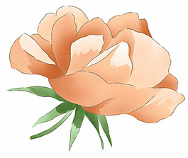 位圖 時尚休閑女裝 成熟優(yōu)雅女裝 植物 花卉 免費素材