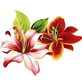 印花矢量圖 植物 花卉 優(yōu)雅植物 色彩 免費(fèi)素材
