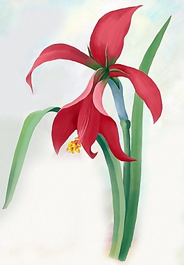 位圖 植物 花卉 優(yōu)雅植物 色彩 免費(fèi)素材