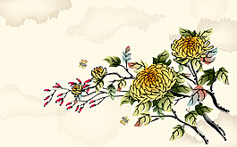 菊花藝術