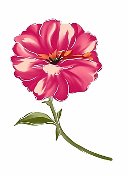 位圖 時(shí)尚休閑女裝 成熟優(yōu)雅女裝 植物 花卉 免費(fèi)素材