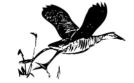 kingrail 2