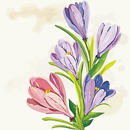 印花矢量圖 時尚休閑女裝 成熟優(yōu)雅女裝 植物 花卉 免費(fèi)素材