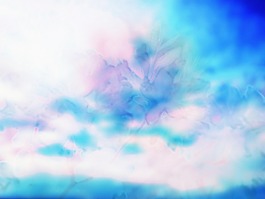 天空背景花卉
