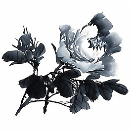 位圖 時尚休閑女裝 成熟優(yōu)雅女裝 水墨 藝術(shù)效果畫 免費素材