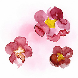 位圖 植物 花卉 優(yōu)雅植物 藝術(shù)效果 免費素材