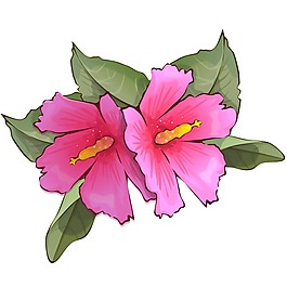 印花矢量圖 時(shí)尚休閑女裝 成熟優(yōu)雅女裝 植物 優(yōu)雅植物 免費(fèi)素材