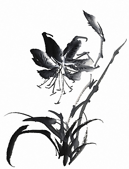位图 植物 花卉 优雅植物 免费素材