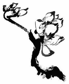 位圖 植物 花卉 優(yōu)雅植物 藝術(shù)效果 免費素材