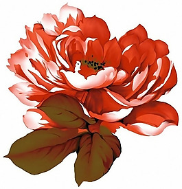 位圖 時尚休閑女裝 成熟優(yōu)雅女裝 植物 花卉 免費素材