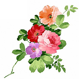位圖 時尚休閑女裝 成熟優(yōu)雅女裝 植物 花卉 免費素材