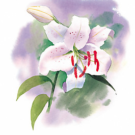 位圖 時(shí)尚休閑女裝 成熟優(yōu)雅女裝 植物 優(yōu)雅植物 免費(fèi)素材