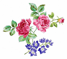 位圖 時(shí)尚休閑女裝 成熟優(yōu)雅女裝 毛衫印花 植物 免費(fèi)素材