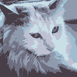 aipets貓