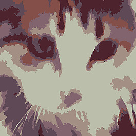 aipets貓1