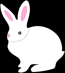 兔子