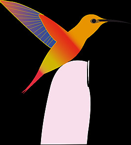 蜂鳥