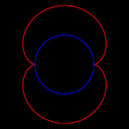 nephroide