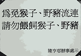 注意野生动物（中国）