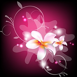 印花矢量圖 成熟優(yōu)雅女裝 T恤圖案 毛衫印花 優(yōu)雅植物 免費(fèi)素材