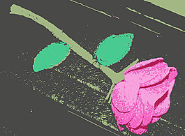 原aiflowers 385