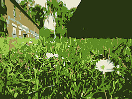 原aiflowers 501